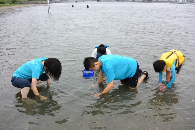 07月渚園キャンプ場潮干狩り.JPG