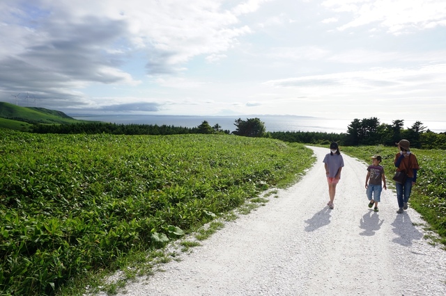 08月_1北海道白い道.JPG