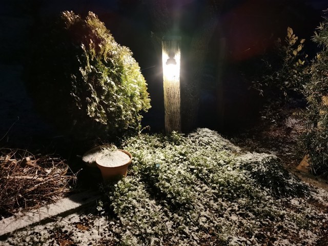 ライトに照らされた雪.jpg