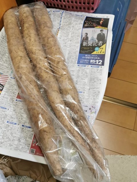 17立派な山芋を購入.jpg