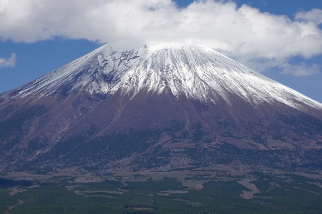 16最後まで傘は取れなかった.JPG