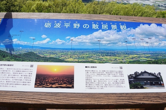 09砺波平野の散居景観.JPG