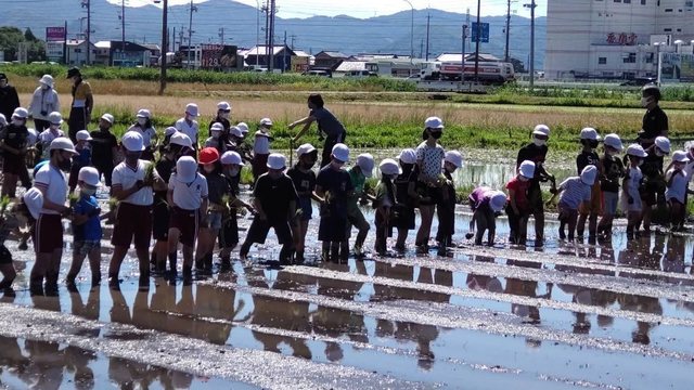 2021小学校田植え.jpg