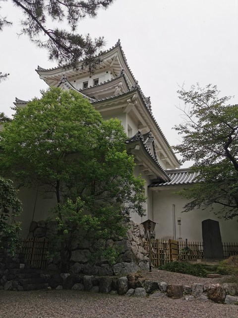 03大垣城へ.JPG