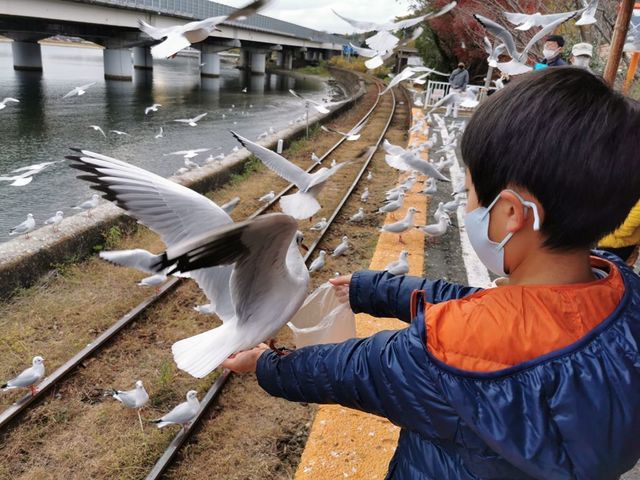 05エサ効果は抜群.jpg