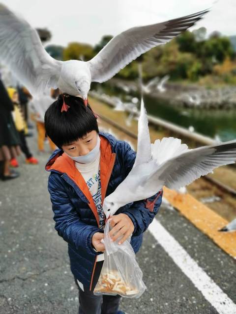 2021年11月浜名湖佐久米駅ゆりかもめ.jpg