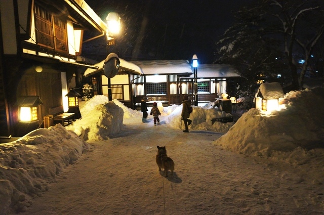 2014雪灯りの散歩路大雪.JPG