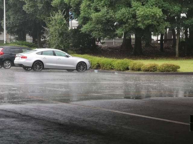そして猛烈なゲリラ豪雨.jpg