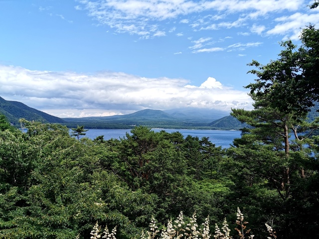 01本栖湖越しの富士山見えず.jpg