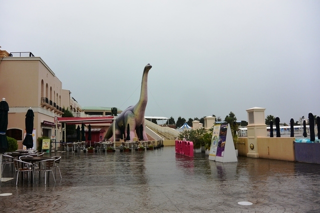 04大雨が降りしきります.JPG