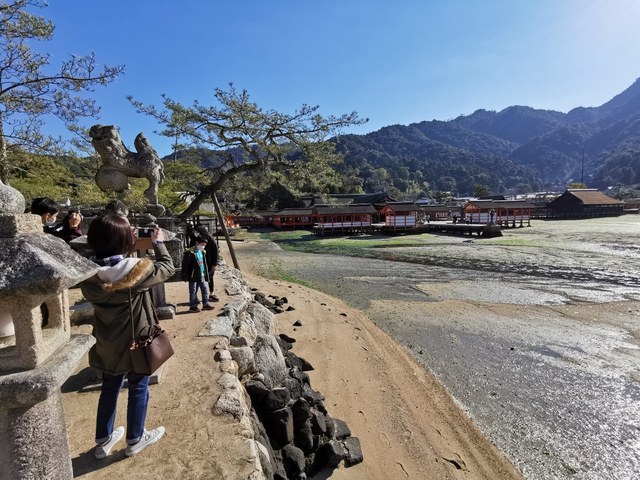 22厳島神社を外から眺める.JPG